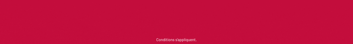 Website Banner - Get MOre with SRP FR